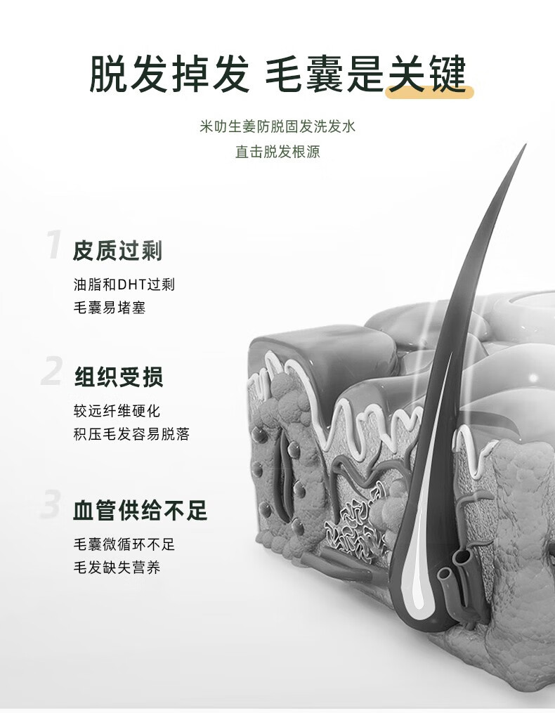 脫發(fā)掉發(fā)毛囊是關(guān)鍵   米叻生姜防脫固發(fā)洗發(fā)水   直擊脫發(fā)根源   皮質(zhì)過(guò)剩 油脂和DHT過(guò)剩 毛囊易堵塞   組織受損 較遠(yuǎn)纖維硬化 積壓毛發(fā)容易脫落   血管供給不足 毛囊微循環(huán)不足 毛發(fā)缺失營(yíng)養(yǎng)