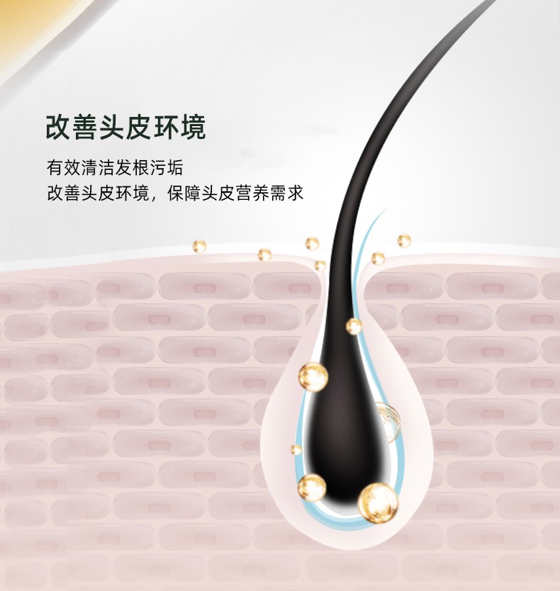 改善頭皮環(huán)境   有效清潔發(fā)根污垢   改善頭皮環(huán)境，保障頭皮營(yíng)養(yǎng)需求